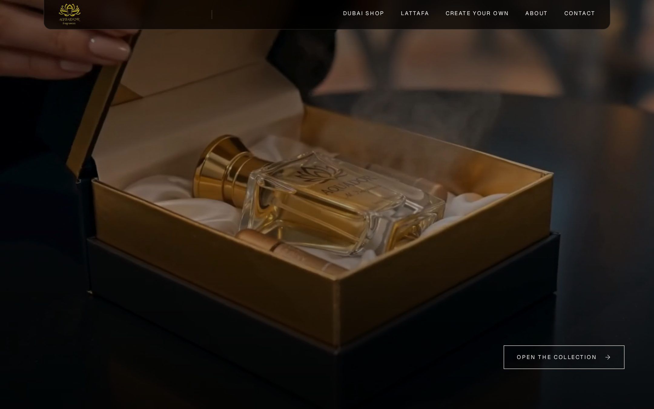 Aquador homepage screenshot